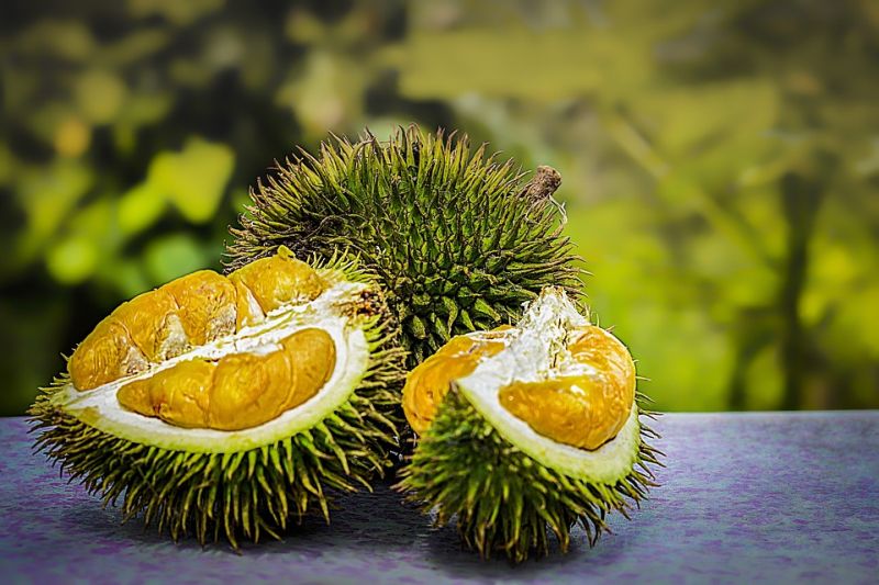 exoticke ovocie durian netradicne chute