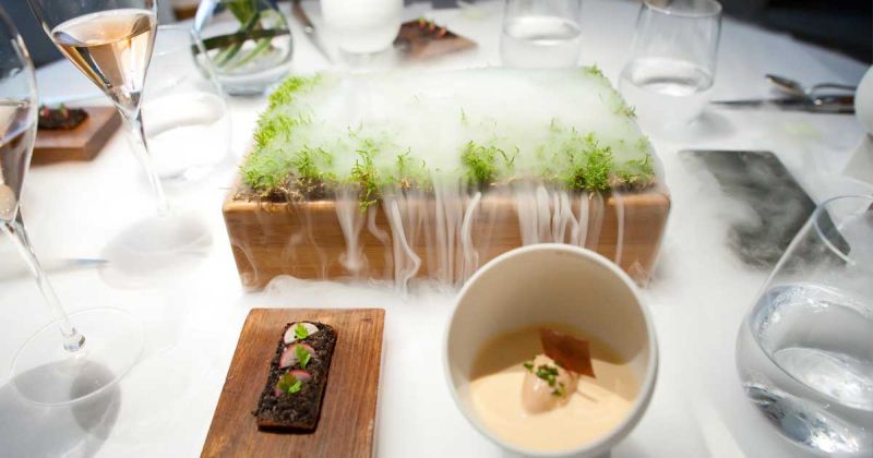molekular kuchyňa 9 veda chemia gastronomia zazitok