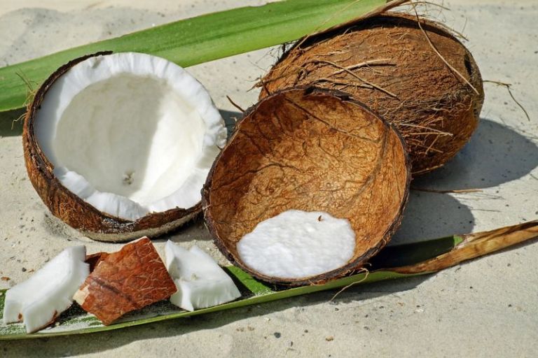exotika uvod kokosovy orech ovocie vitaminy mineraly chute zaujimave