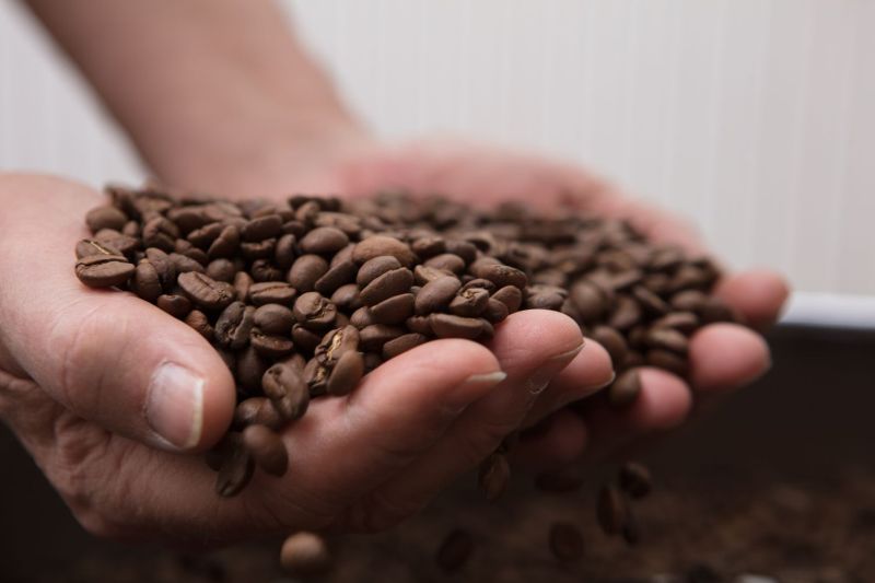 kava caffeoro praziaren tradicia kvalita zvolen rodina misutkovci 5