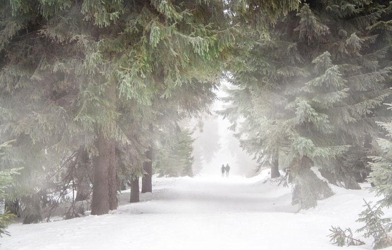 zima priroda prechadzka atmosfera sneh pohoda psychicke uvolnenie 1