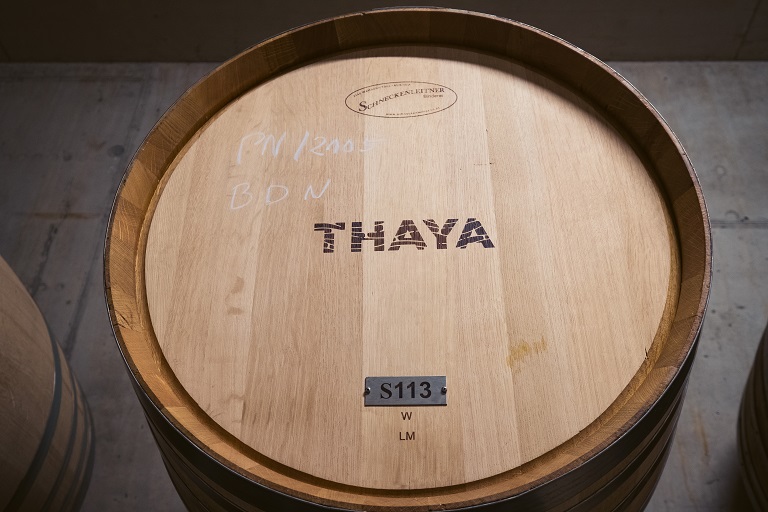 vinárstvo THAYA_vína z Moravy_drevený sud