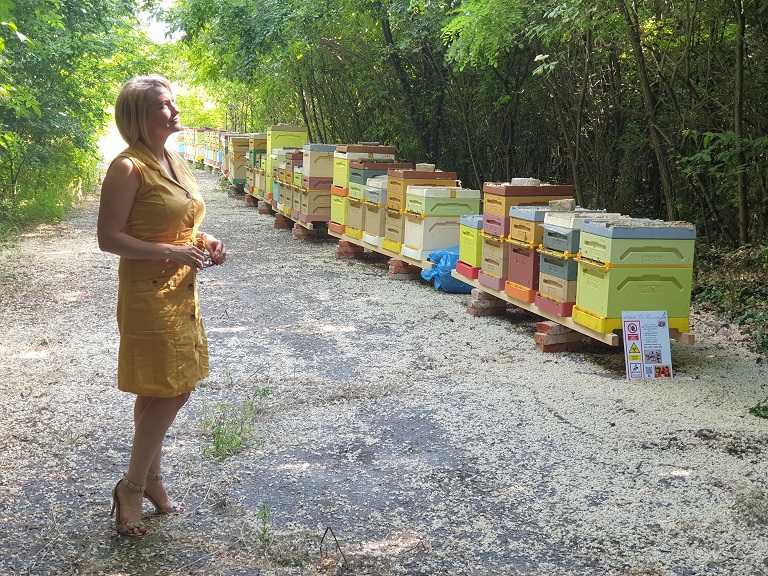 Asbóth Bee Farm_ponuka medov a medových výrobkov_včelstvo