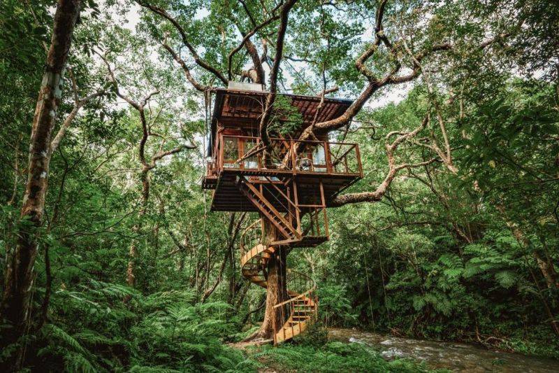 treehouse 0