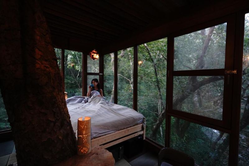 treehouse 1