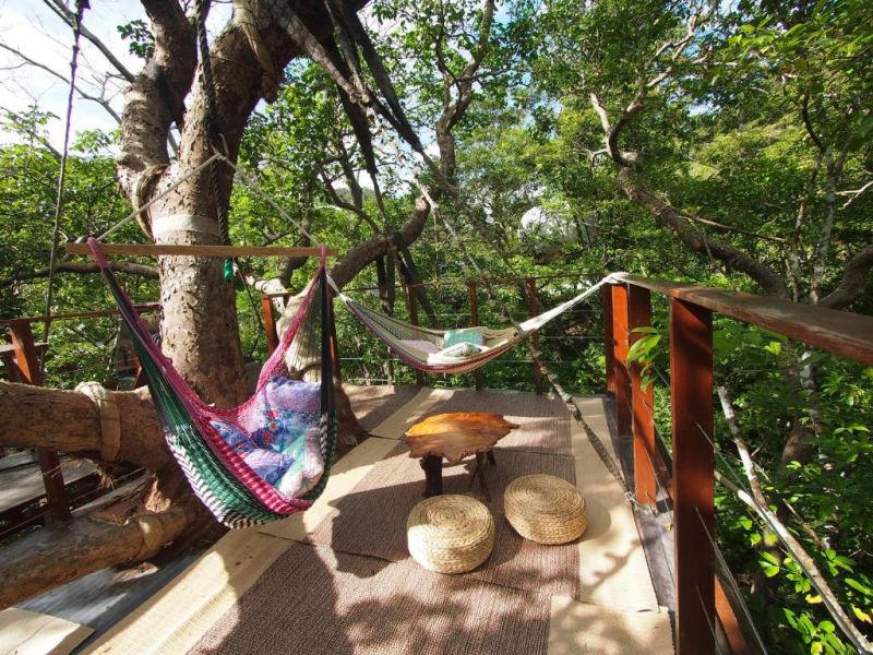 treehouse 5
