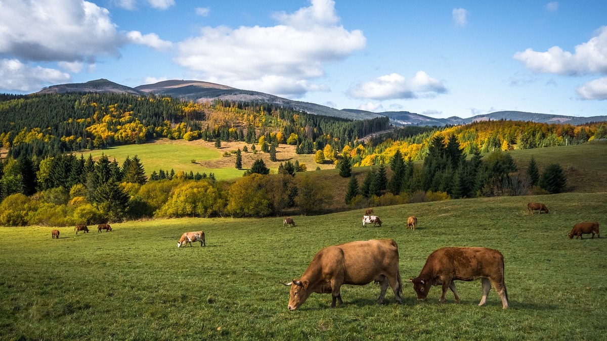 Slovensko 3