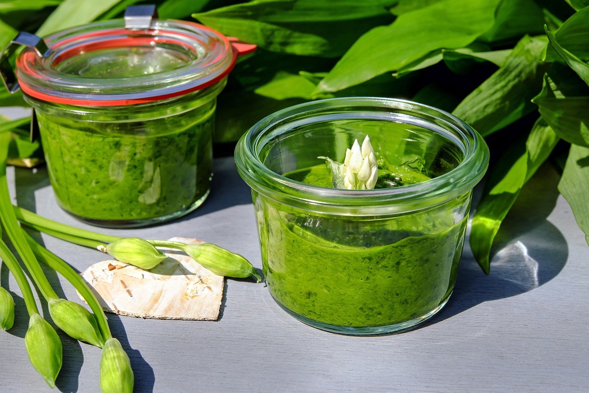 medvedi cesnak 2