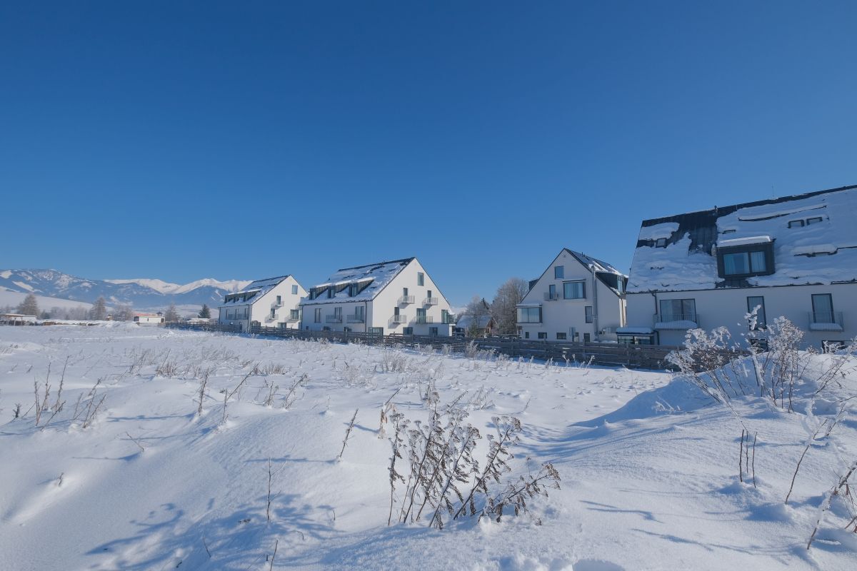 maladinovo 3