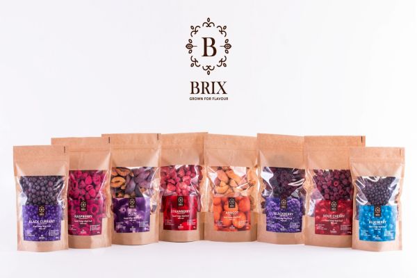 brix products 1
