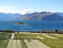 Central Otago - Rippon winery1