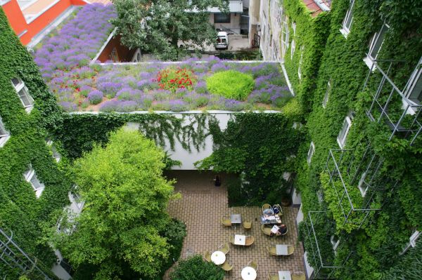 prvni hotel foto 2